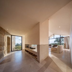 CASA DE LOS INGENIEROS - CHIMENEA Y SALÓN
