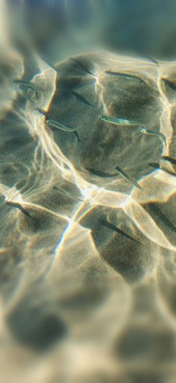 domenico-adornato-iGneXP_ET6E-unsplash - copia - copia