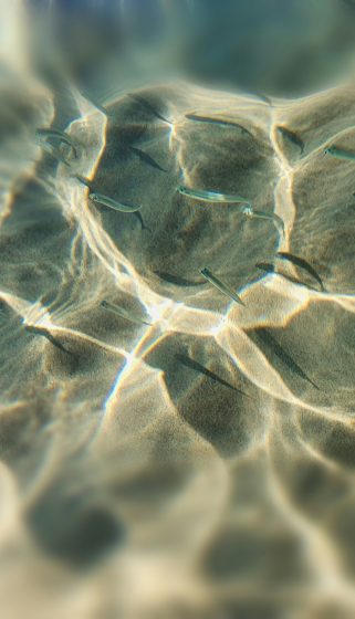 domenico-adornato-iGneXP_ET6E-unsplash - copia